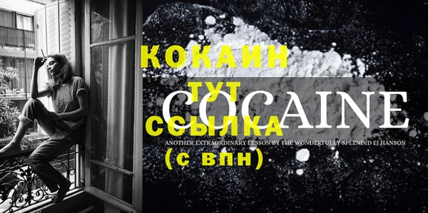 прущий лед Вяземский