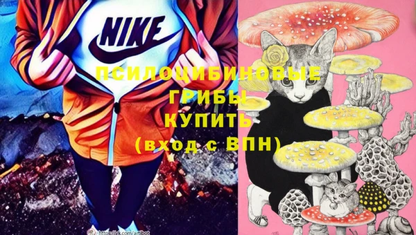 крисы Вязники