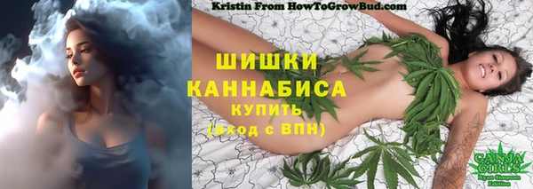 соль ск Вязьма