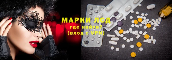прущий лед Вяземский