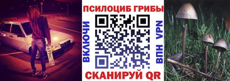 Псилоцибиновые грибы Psilocybe  hydra tor  Каменск-Шахтинский  наркотики 
